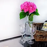 Pietrasanta 게스트하우스 3*