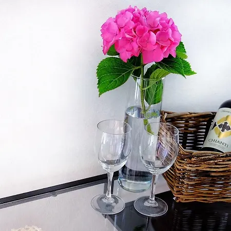 Pietrasanta Guest house *